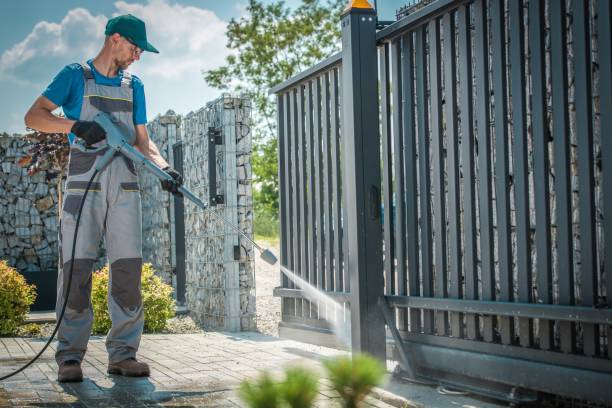 Best Soft Washing  in Williamston, SC